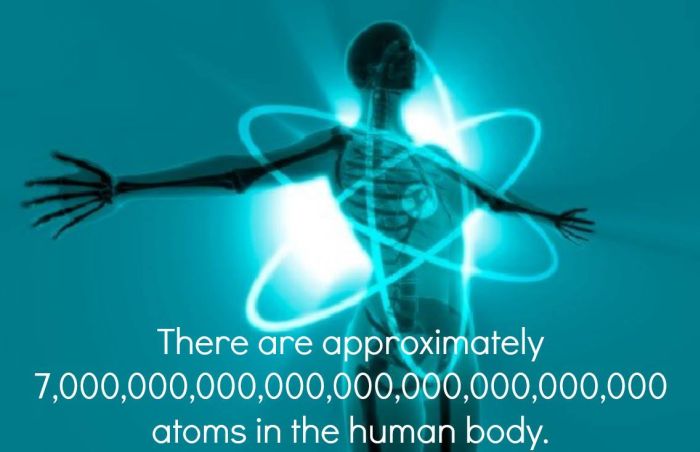 atoms in the human body