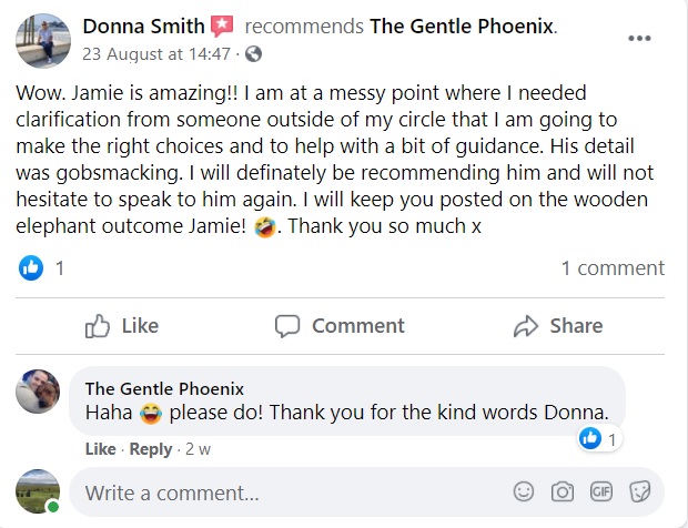 Donna Smith review