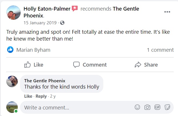 Holly Eaton Palmer review