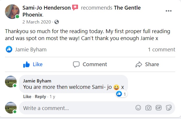Sami-Jo Henderson review